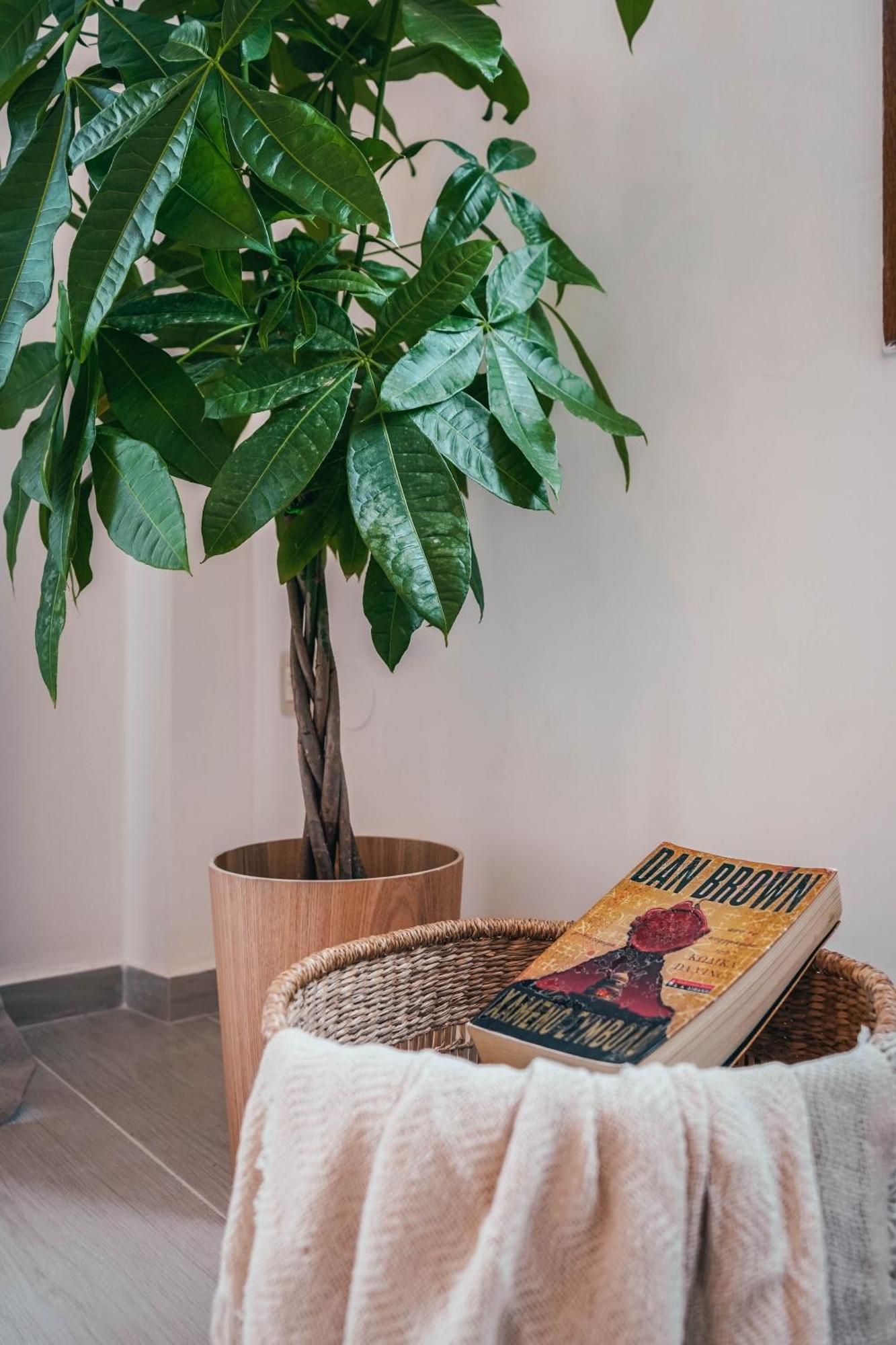Romantica House Парга Екстериор снимка
